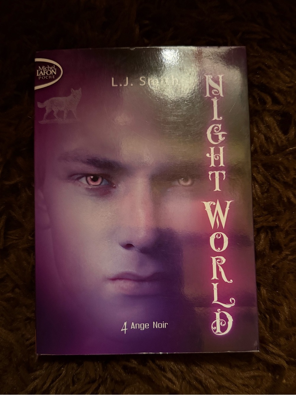 Nightworld Book 4 - French edition